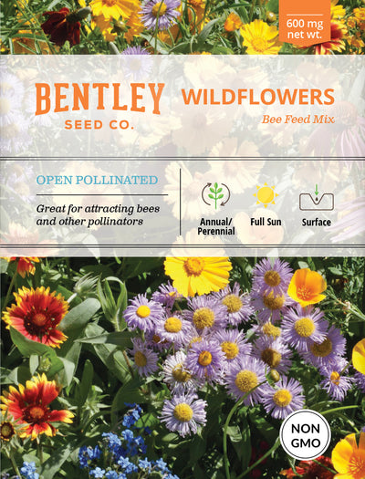 Wildflower, Bee Feed Wildflower Mix Seed Packets garden seeds