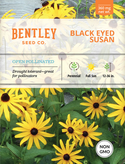 Black-Eyed Susan Seed Packets seed packet
