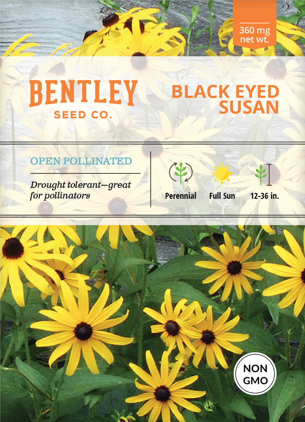 Black-Eyed Susan Seed Packets seed packet