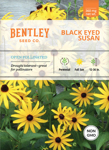 Black-Eyed Susan Seed Packets
