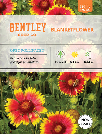 Blanketflower Seed Packets seed packet
