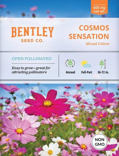 Cosmos, Sensation Seed Packets flower seeds