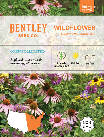 Wildflower, Eastern Pollinator Wildflower Mix Seed Packets flower seeds