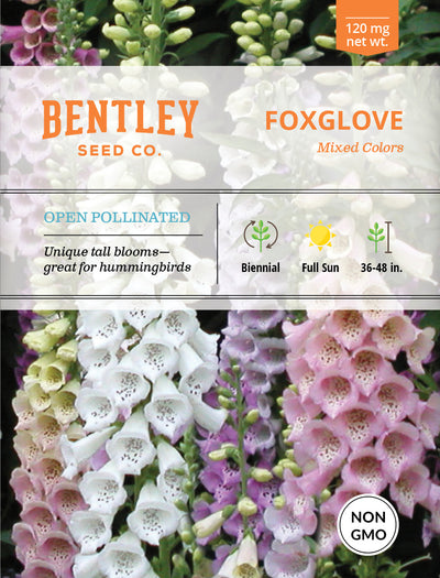 Foxglove Seed Packets garden seeds