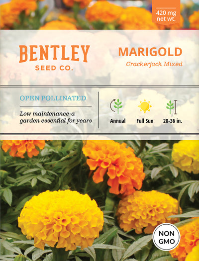 Marigold, Crackerjack Mixed Colors Seed Packets flower seeds