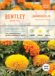 Marigold, Crackerjack Mixed Colors Seed Packets flower seeds