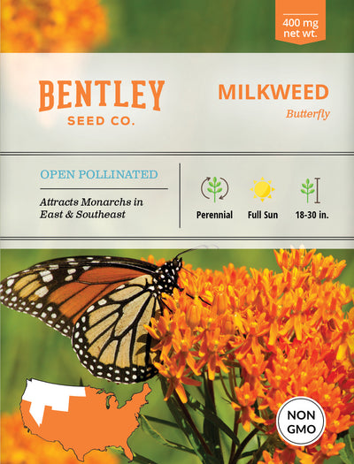 Milkweed, Butterfly Seed Packets seed packet