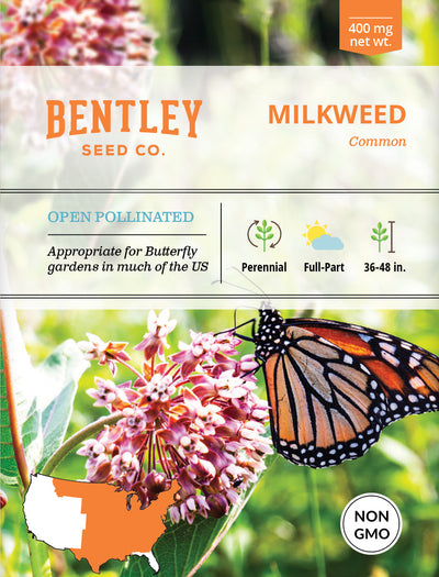 Milkweed, Common Seed Packets garden seeds