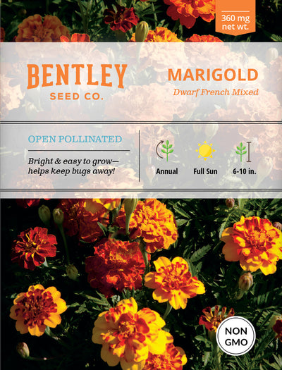 Marigold, Dwarf French Mix Seed Packets flower seeds