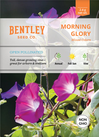 Morning Glory Seed Packets