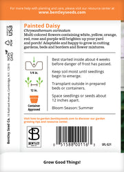 Daisy, Painted Daisy Seed Packets garden seeds