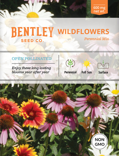 Wildflower, Perennial Wildflower Mix Seed Packets flower seeds