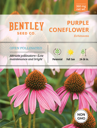 Purple Coneflower (Echinacea) Seed Packets garden seeds