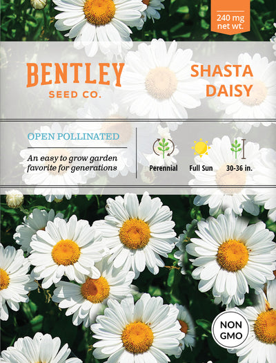 Daisy, Shasta Daisy Seed Packets seed packet