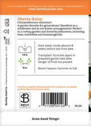 Daisy, Shasta Daisy Seed Packets seed packet