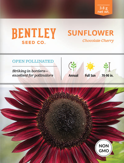 Sunflower, Chocolate Cherry Seed Packets seed packet