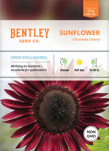 Sunflower, Chocolate Cherry Seed Packets