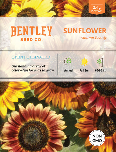 Sunflower, Autumn Beauty Seed Packets flower seeds