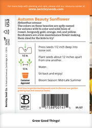 Sunflower, Autumn Beauty Seed Packets flower seeds