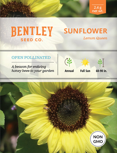Sunflower, Lemon Queen Seed Packets garden seeds