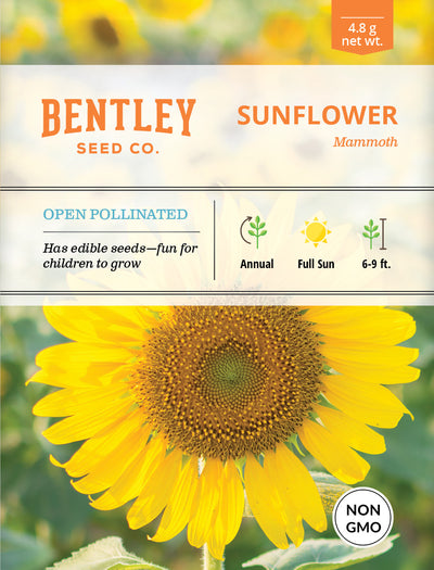 Sunflower, Mammoth Seed flower seeds