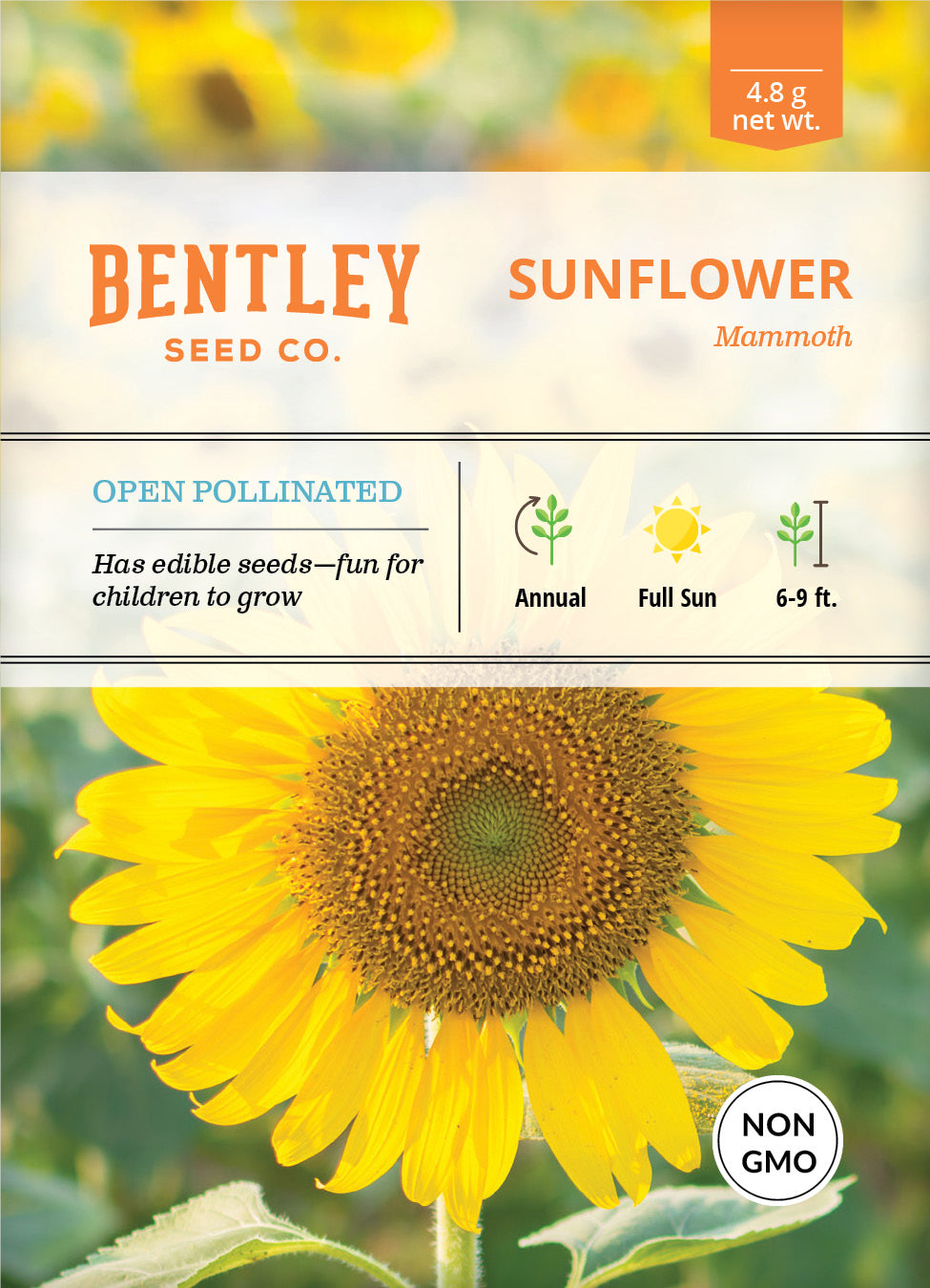 Sunflower, Mammoth Seed flower seeds