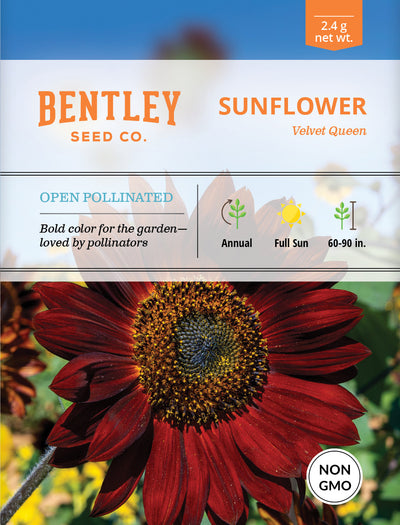 Sunflower, Velvet Queen Seed Packets garden seeds
