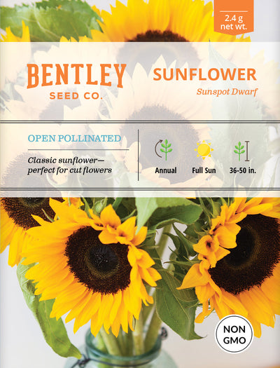 Sunflower, Sunspot Dwarf Seed Packets garden seeds