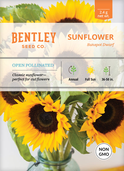 Sunflower, Sunspot Dwarf Seed Packets | Bentley Seeds