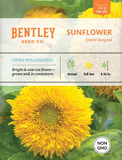 Sunflower, Dwarf Sungold Seed Packets seed packet
