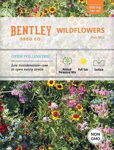 Wildflower, Sunny Wildflower Mix Seed Packets seed packet