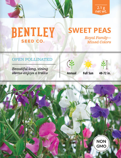Sweet Pea Flower Seed Packets flower seeds