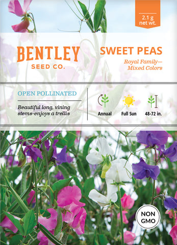 Sweet Pea Flower Seed Packets