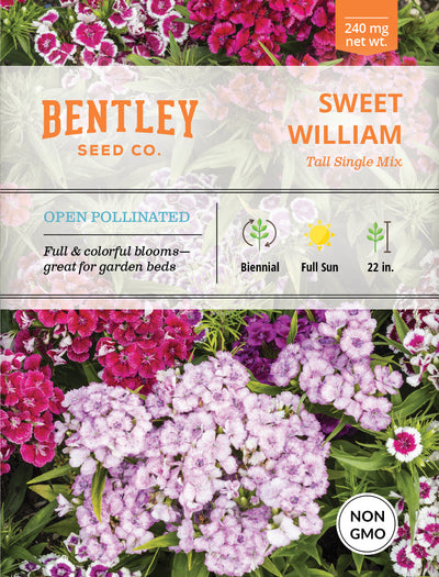 Sweet William, Tall Single Mix Seed Packets seed packet