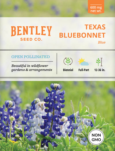 Texas Bluebonnet Seed Packets seed packet