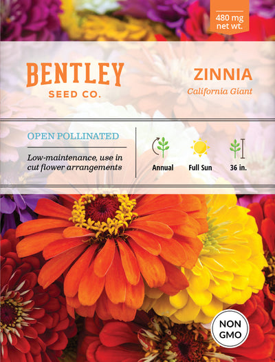 Zinnia, California Giant Mixed Seed Packets garden seeds