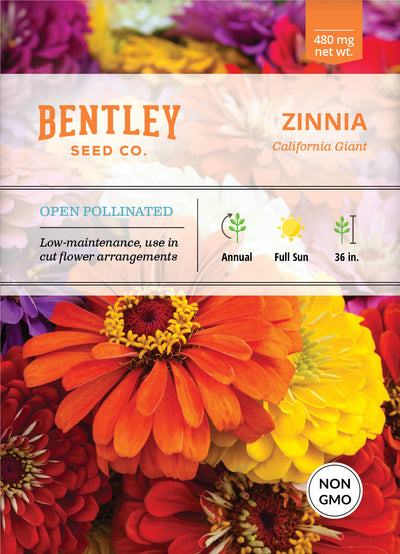 Zinnia, California Giant Mixed Seed Packets garden seeds