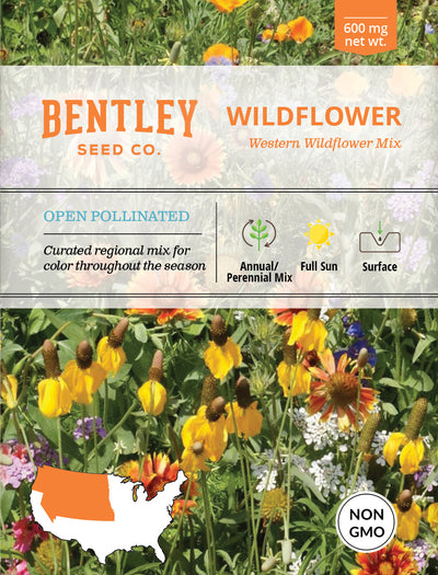 Wildflower, Western Wildflower Mix Seed Packets seed packet