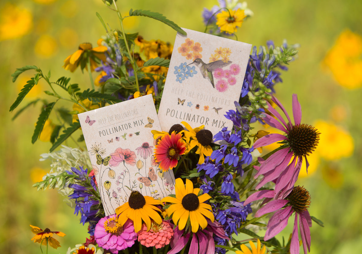 Pollinator Wildflower Mix Seed Packets Favor in "Butterfly" - Bentley Seeds