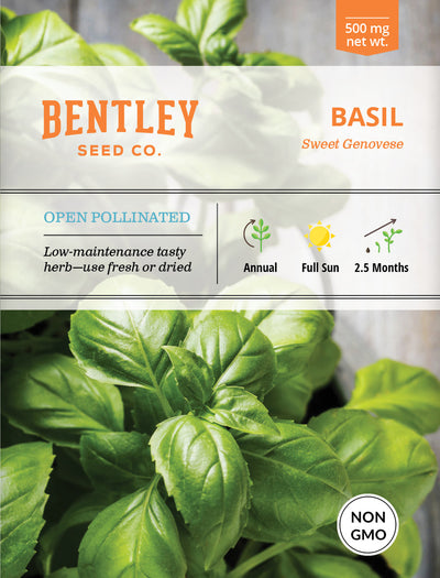 Basil, Genovese Sweet Seed Packets garden seeds