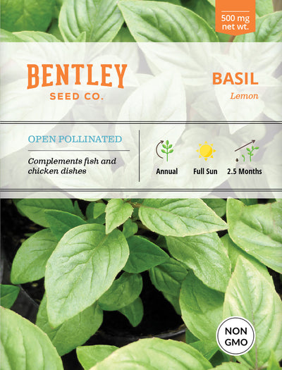Basil, Lemon Seed Packets flower seeds