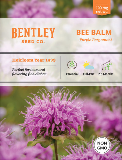 Bee Balm Seed Packets garden seeds