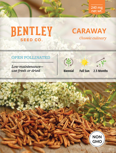 Caraway Seed Packets seed packet