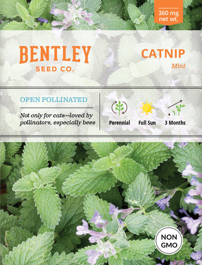 Catnip Seed Packets seed packet