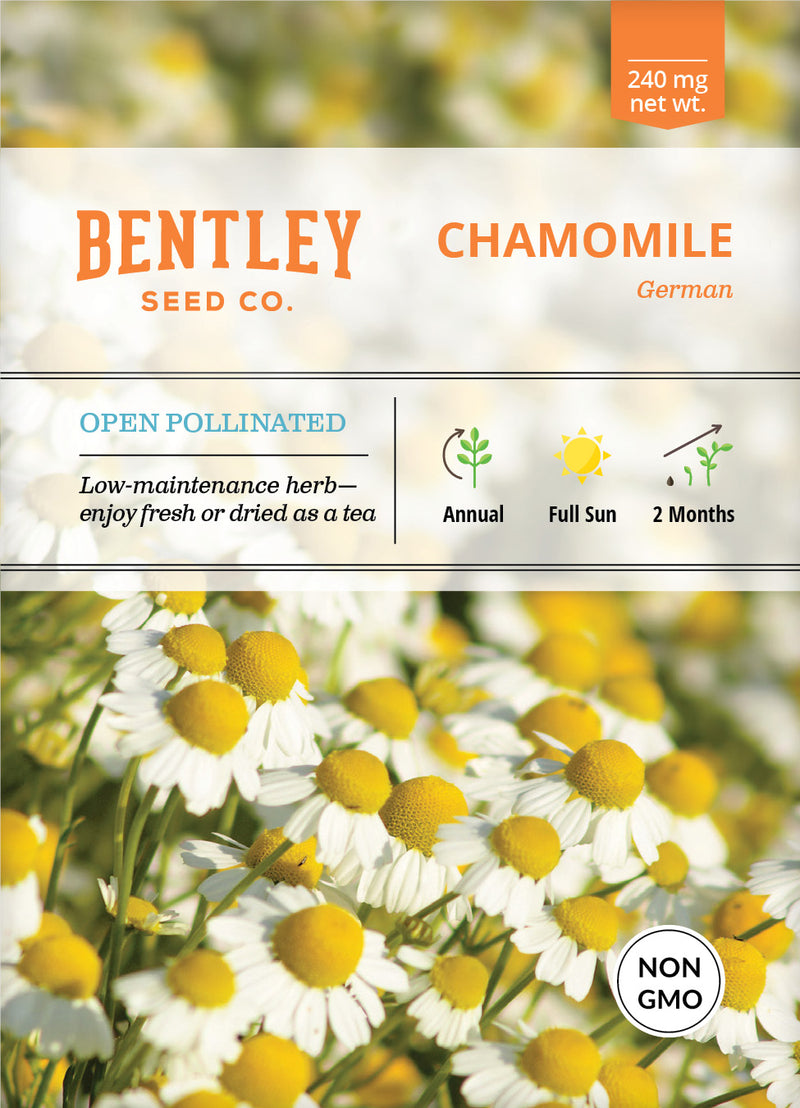 Chamomile Seed Packets seed packet