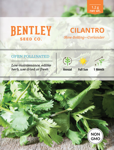 Cilantro, Slow Bolting Seed Packets seed packet