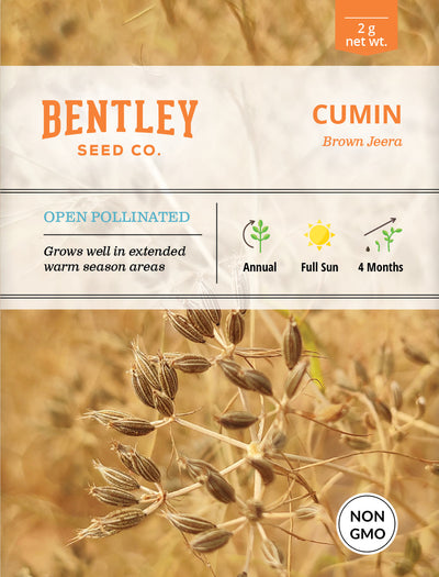 Cumin Seed Packets seed packet