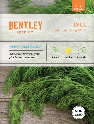 Dill, Long Island Mammoth Seed Packets flower seeds