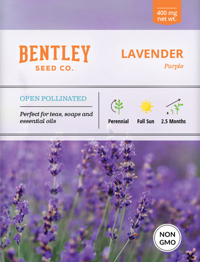 Lavender Seed Packets seed packet