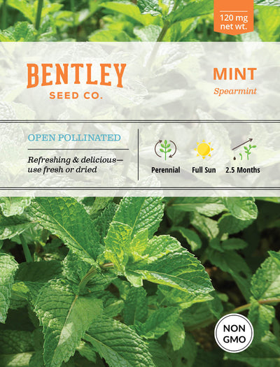 Mint, Spearmint Seed Packets garden seeds